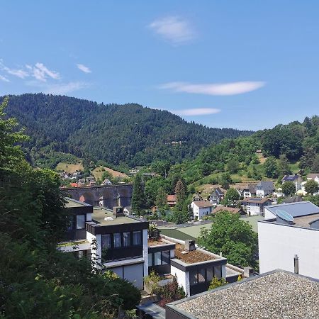 Terrassenwohnung Mit Toller Aussicht & Zentrumsnah هورنبرغ المظهر الخارجي الصورة