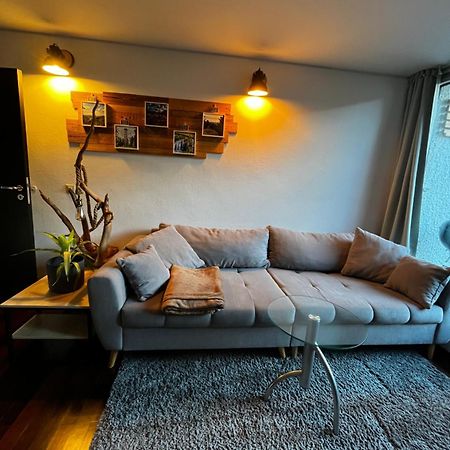 Terrassenwohnung Mit Toller Aussicht & Zentrumsnah هورنبرغ المظهر الخارجي الصورة