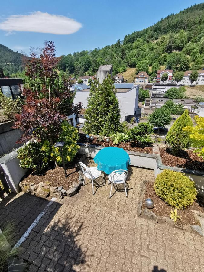 Terrassenwohnung Mit Toller Aussicht & Zentrumsnah هورنبرغ المظهر الخارجي الصورة