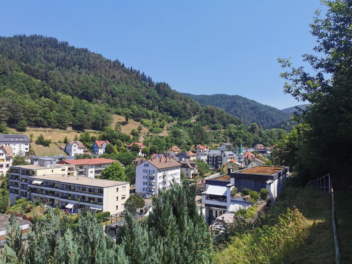 Terrassenwohnung Mit Toller Aussicht & Zentrumsnah هورنبرغ المظهر الخارجي الصورة